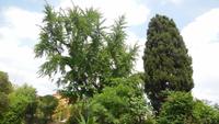 82-Botan Garten Padua_005
