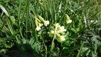 9-Monte Baldo_007