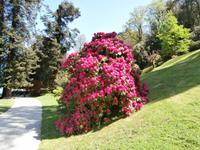 Villa Melzi auf Bellagio