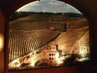 Zonin - Weingut