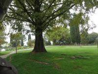 Park Giadino Sigurta