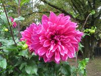 Park Giadino Sigurta