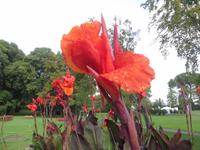 Park Giadino Sigurta