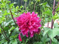 Park Giadino Sigurta