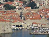 Blick auf den Hafen Dubrovniks