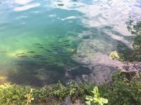 Krk Nationalpark (8)