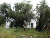 Korfu - Impressionen