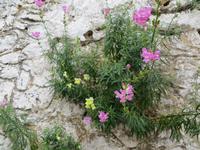 Im Bergdorf Makrabes