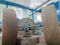 In der Olivenölmühle Galantino in Apulien