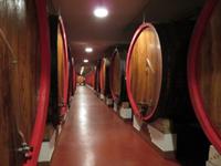 0011 Kreuzfahrt AIDAvita - Adria - Besuch im Weingut Zonin in Gambarello