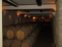 0016 Kreuzfahrt AIDAvita - Adria - Besuch im Weingut Zonin in Gambarello