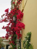 0095 Kreuzfahrt AIDAvita - Adria - Inselrundfahrt Korfu