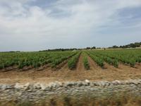 0182 Kreuzfahrt AIDAvita - Adria -Bari - Fahrt durch Apulien