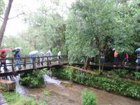 347 Kreuzfahrt AIDAvita - Adria -  Ausflug zu den Krka-Wasserfällen