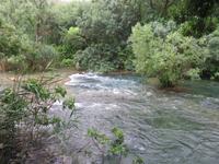 348 Kreuzfahrt AIDAvita - Adria -  Ausflug zu den Krka-Wasserfällen