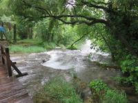 350 Kreuzfahrt AIDAvita - Adria -  Ausflug zu den Krka-Wasserfällen