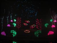 371 Kreuzfahrt AIDAvita - Adria -  Lasershow im Theater zum Abschiedsabend