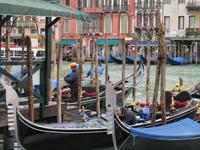 408 Kreuzfahrt AIDAvita - Adria - Stadtrundgang in Venedig Canal Grande