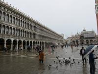 428 Kreuzfahrt AIDAvita - Adria - Stadtrundgang in Venedig- Markusplatz
