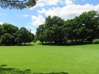 514 Kreuzfahrt AIDAvita - Adria -Besuch Park Sigurta