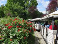 517 Kreuzfahrt AIDAvita - Adria -Besuch Park Sigurta