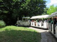 519 Kreuzfahrt AIDAvita - Adria -Besuch Park Sigurta