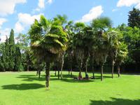 523 Kreuzfahrt AIDAvita - Adria -Besuch Park Sigurta