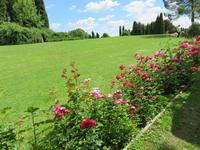 534 Kreuzfahrt AIDAvita - Adria -Besuch Park Sigurta