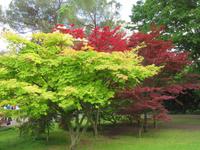 553 Kreuzfahrt AIDAvita - Adria -Besuch Park Sigurta