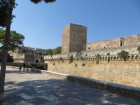 Bari