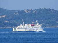 Im Hafen von Zadar