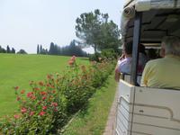 Im Parco Sigurta
