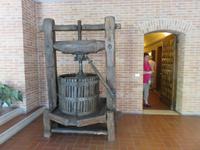 Im Weingut Zonin