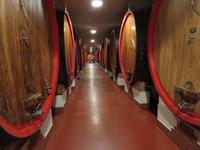 Im Weingut Zonin