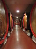Im Weingut Zonin
