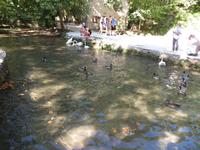 Nationalpark Krka