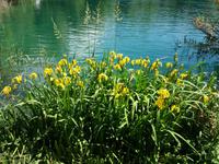 Nationalpark Krka