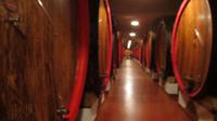 Weingut Zonin