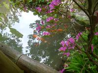 Hellergarten Gardone