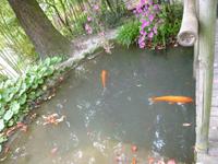 Hellergarten Gardone