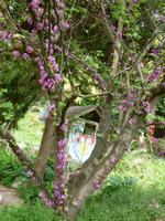 Hellergarten Gardone