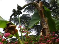 Hellergarten Gardone