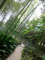 Hellergarten Gardone