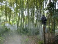 Hellergarten Gardone