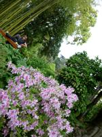 Hellergarten Gardone