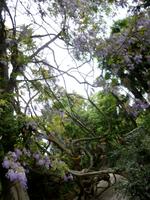 Hellergarten Gardone