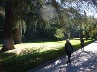 Papstgarten Castel Gandolfo