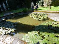 Papstgarten Castel Gandolfo