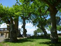 Villa Aldobrandini in Frascati