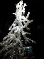 Swarovski Kristallwelten